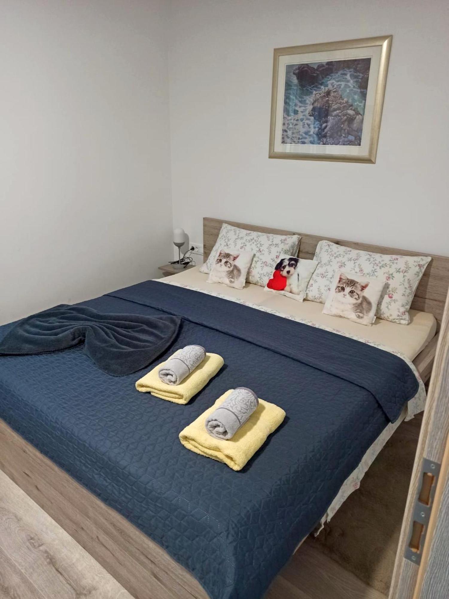 Apartmani Leptir 라코비카 외부 사진